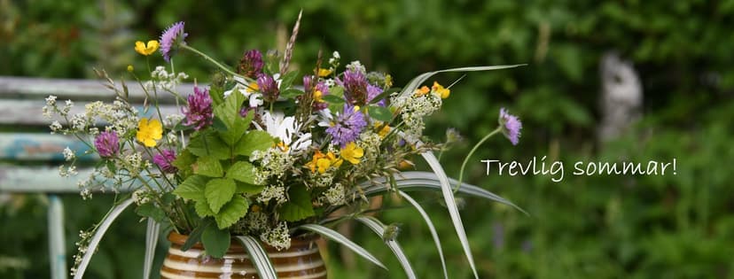 Sommarblommor