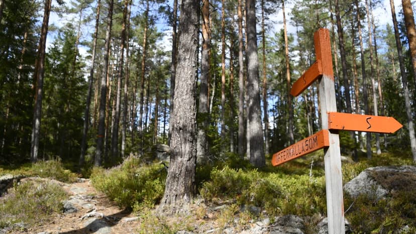 Utflykt till Älgsjöbacken med kort promenad