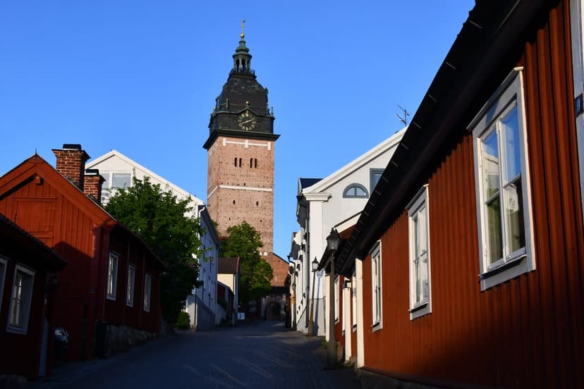Guidad visning av Domkyrkan 2022-11-10